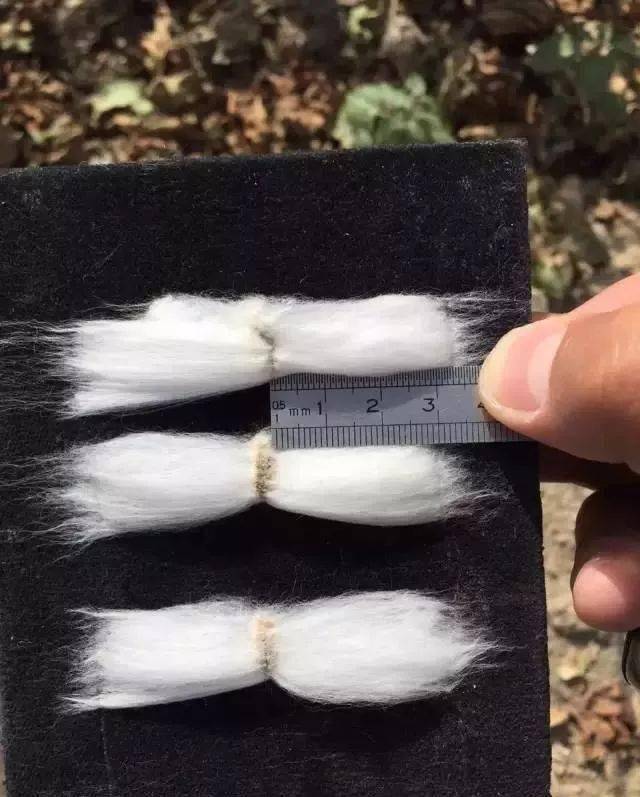 1711958774957816.jpeg ec5eb5b9f7a6e8b0add491096f14a830_bac04bb0e6e5418783dced4d9c25217a.jpeg