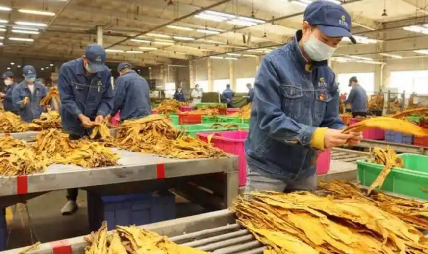 1760348767569994.png image.png